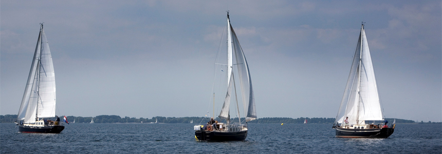 Warnderer Friesland